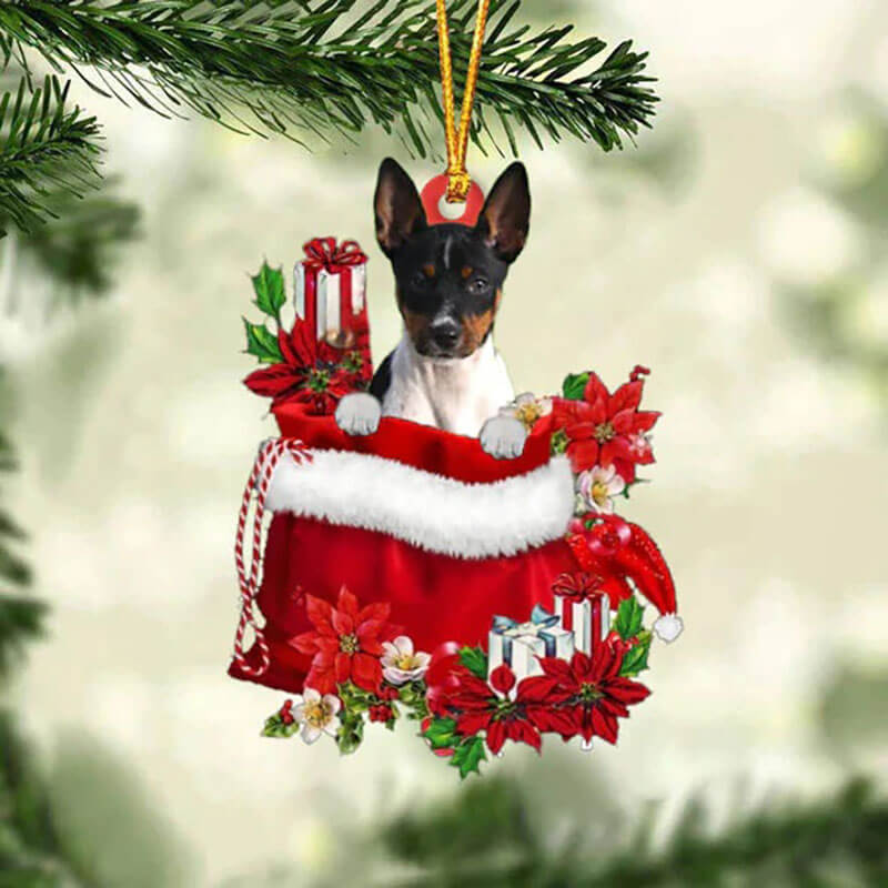 Rat Terrier In Cadeauzakje Kerstornament