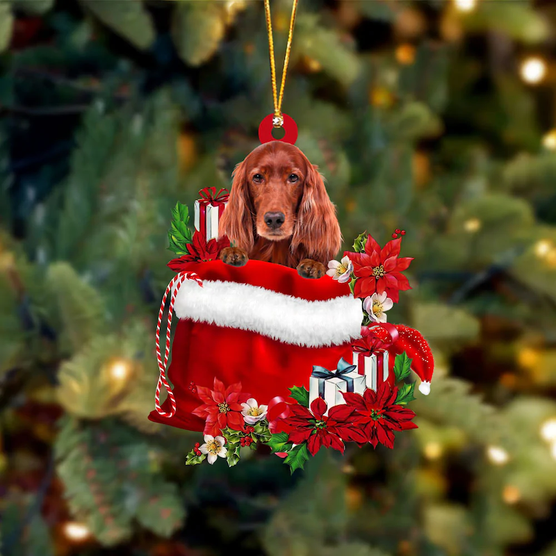 Irish Setter In Cadeauzakje Kerstornament