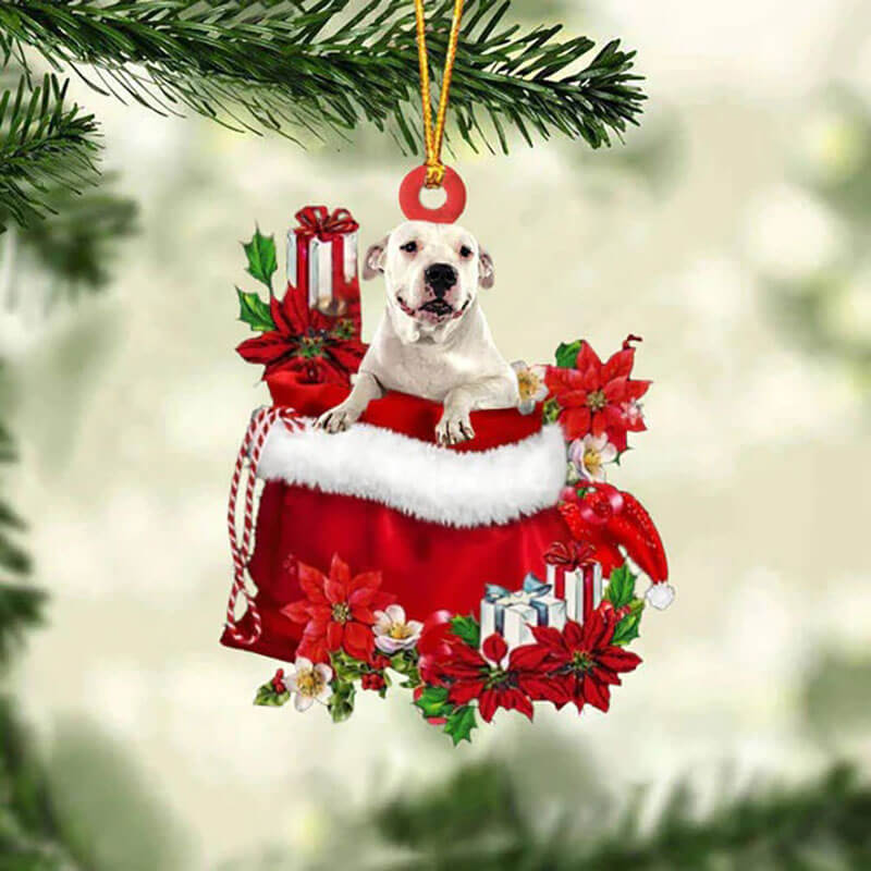 Dogo Argentino In Cadeauzakje Kerstornament