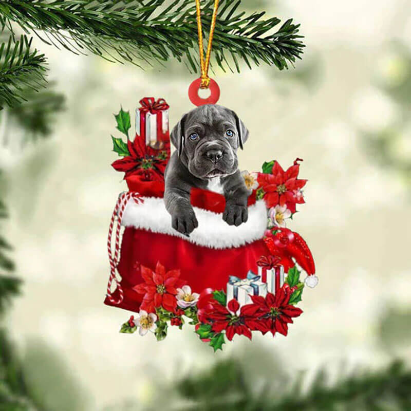 Cane Corso In Cadeauzakje Kerstornament