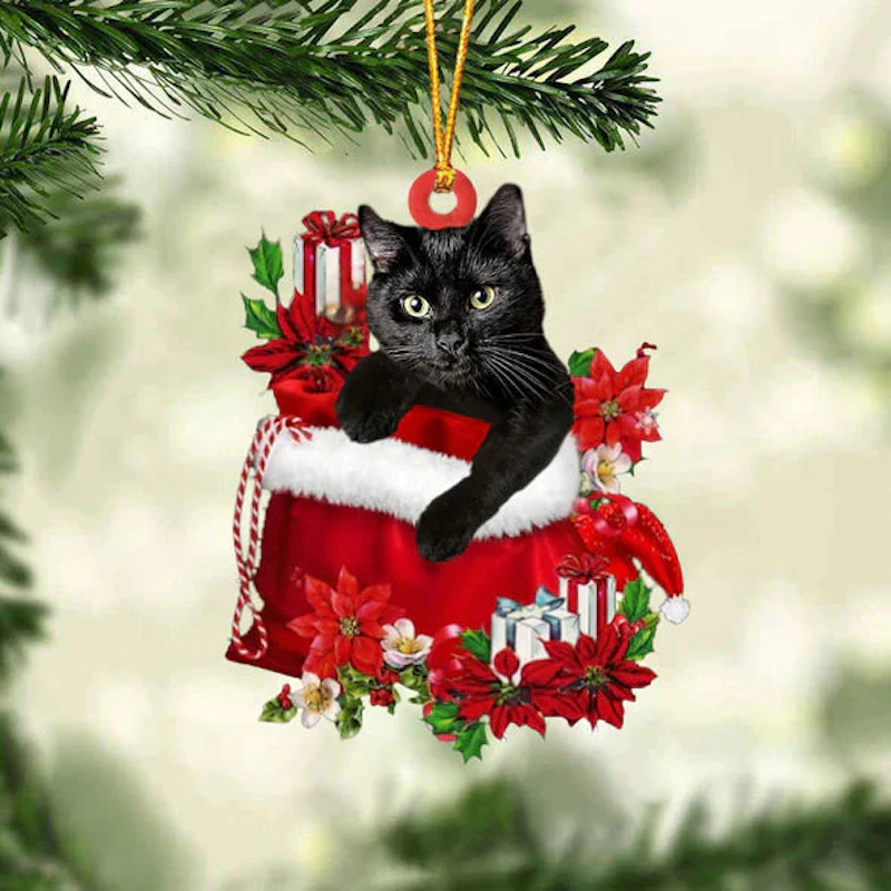 Zwart kat In Cadeauzakje Kerstornament