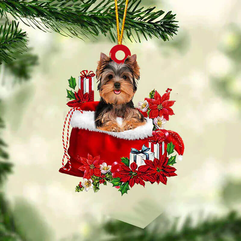 Yorkshire Terrier In Cadeauzakje Kerstornament