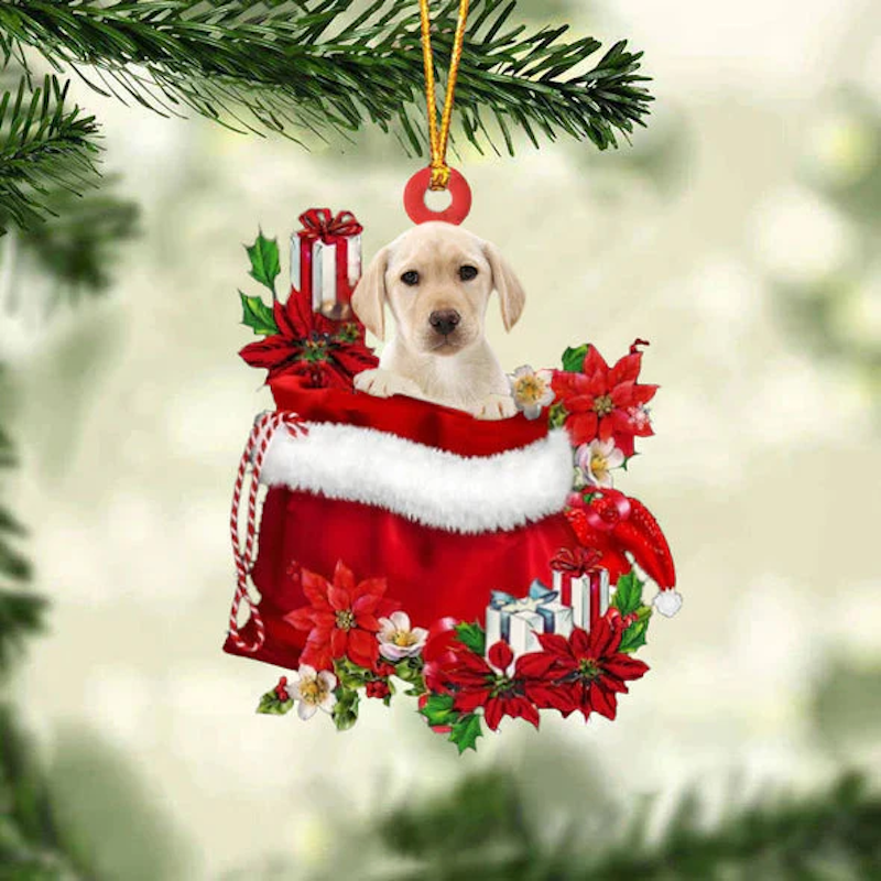 Yellow Labrador In Cadeauzakje Kerstornament