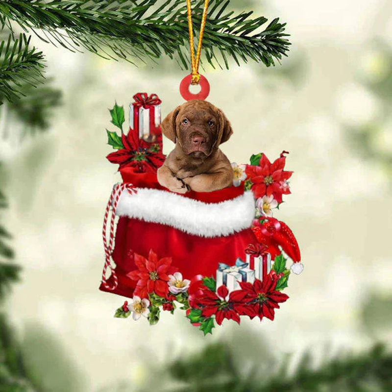 Chesapeake Bay Retriever In Cadeauzakje Kerstornament