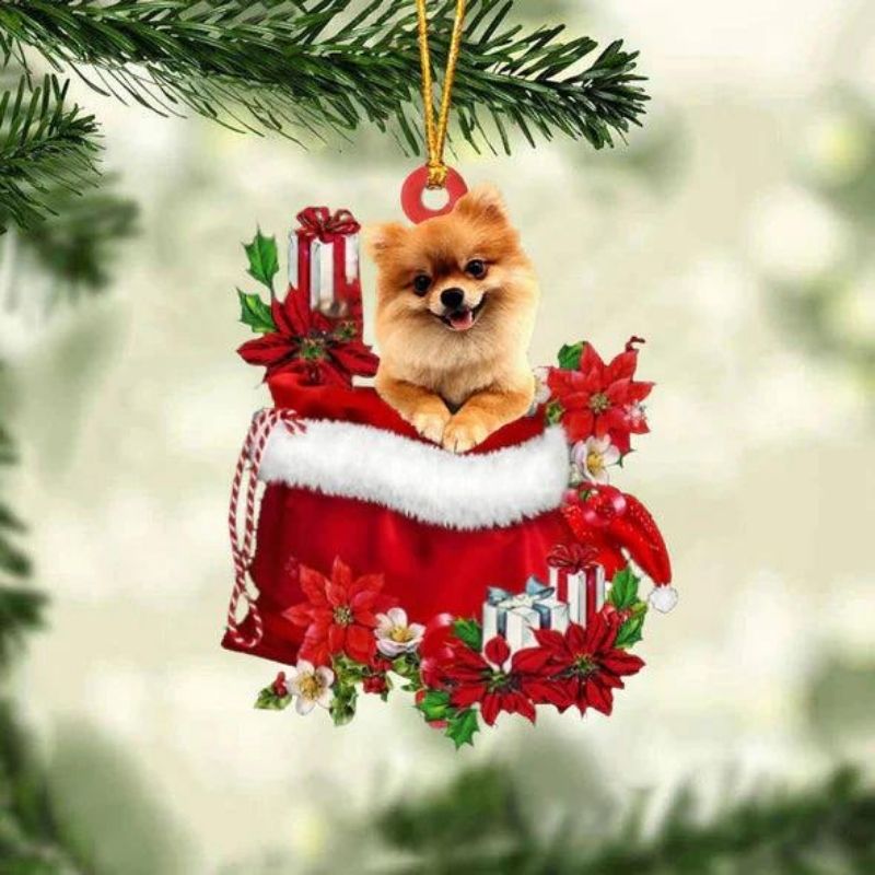 Pomeranian In Cadeauzakje Kerstornament