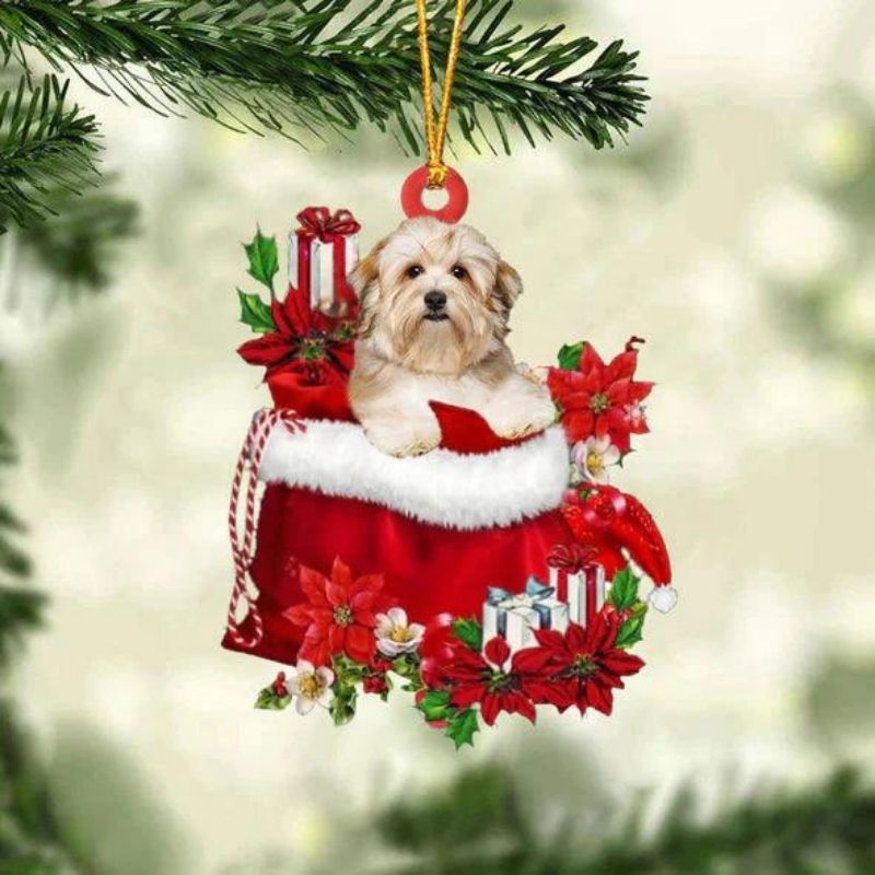 Havanese In Cadeauzakje Kerstornament