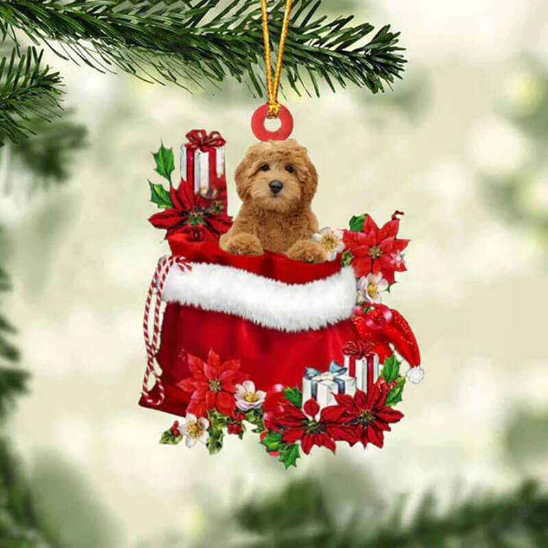 Goldendoodle In Cadeauzakje Kerstornament