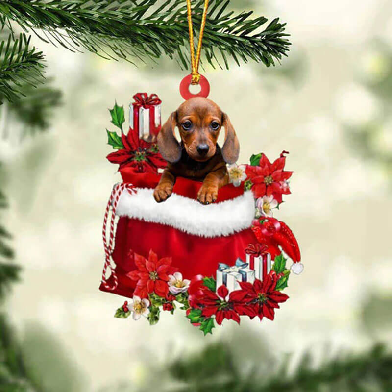 Dachshund teckel In Cadeauzakje Kerstornament