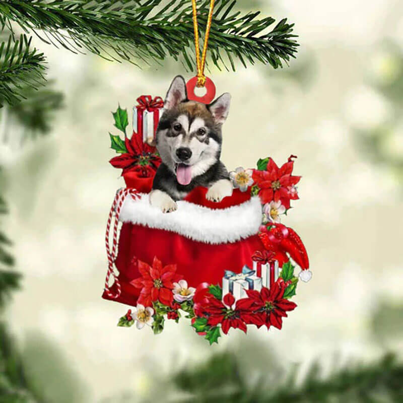 Alaskan Malamute In Cadeauzakje Kerstornament