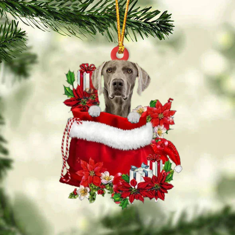 Weimaraner In Cadeauzakje Kerstornament