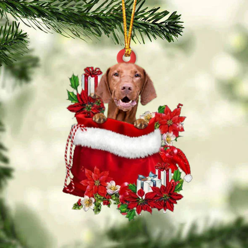 Vizsla In Cadeauzakje Kerstornament