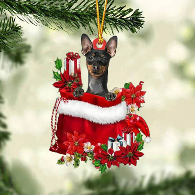 Miniature Pinscher In Cadeauzakje Kerstornament