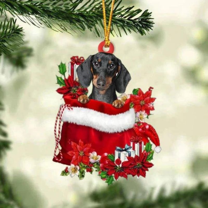 Dachshund teckel In Cadeauzakje Kerstornament