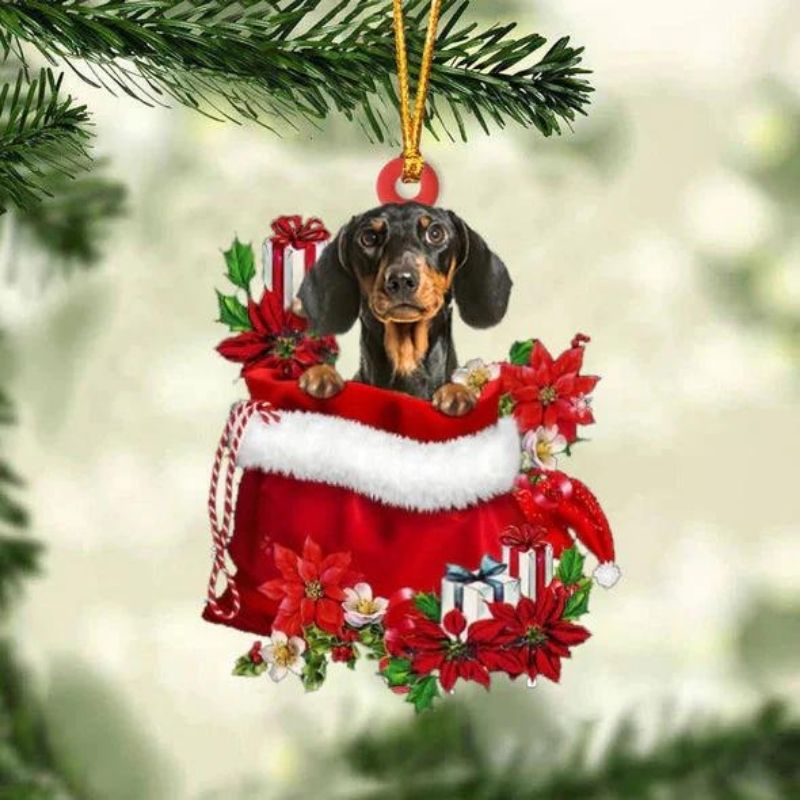 Dachshund teckel In Cadeauzakje Kerstornament