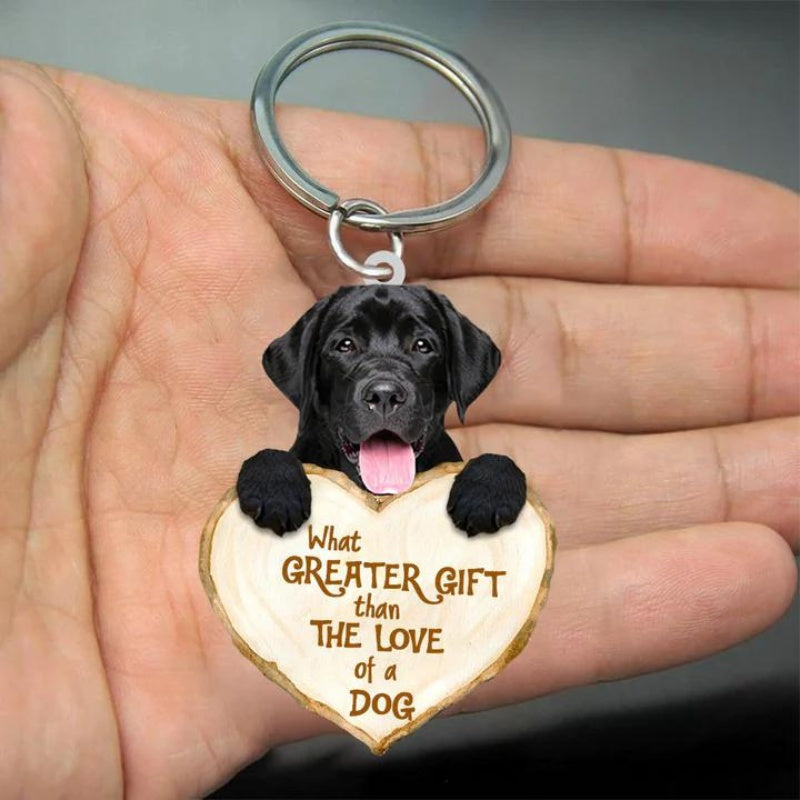 Labrador Retriever | Great Love