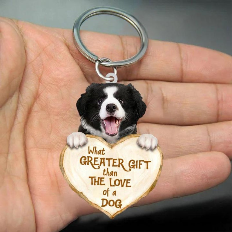 Border Collie | Great Love