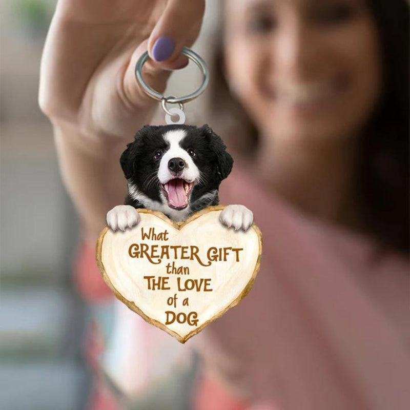 Border Collie | Great Love