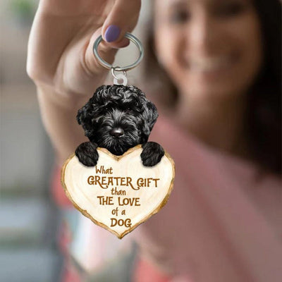 Cavapoo | Great Love