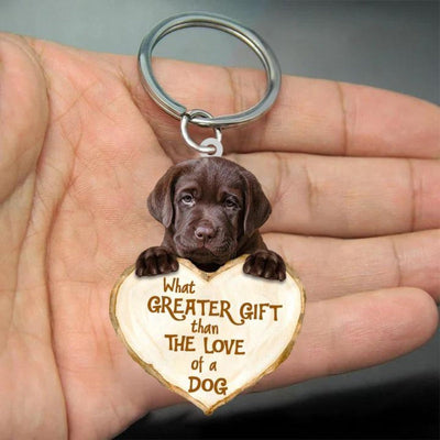 Labrador Retriever | Great Love