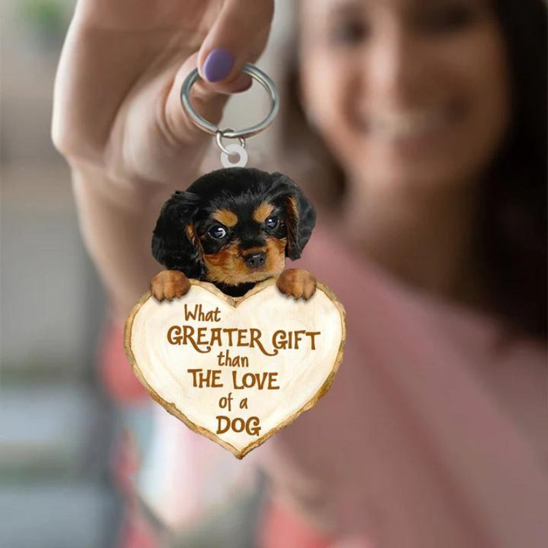 Cavalier King Charles Spaniel | Great Love