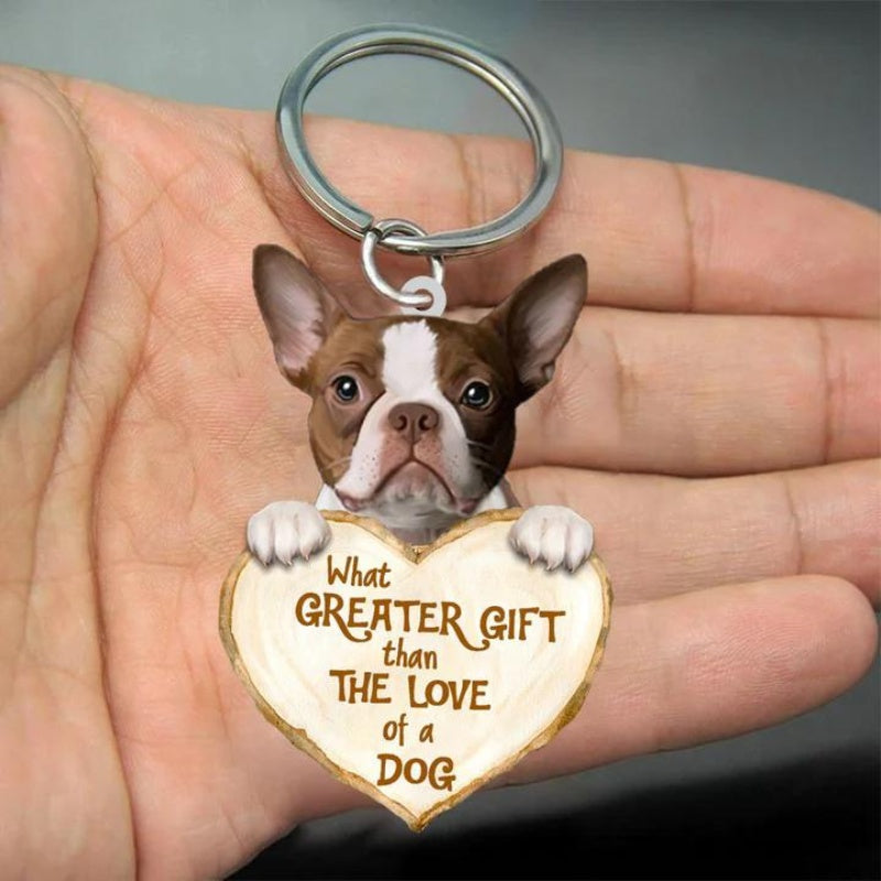 Boston Terrier | Great Love