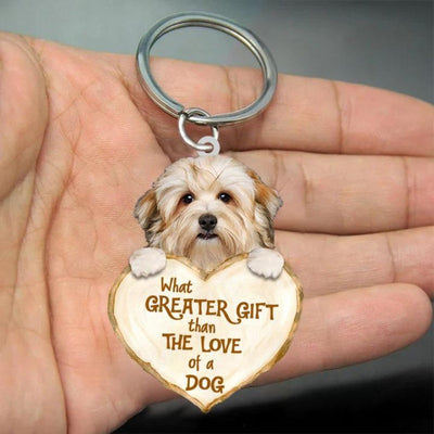 Havanese | Great Love