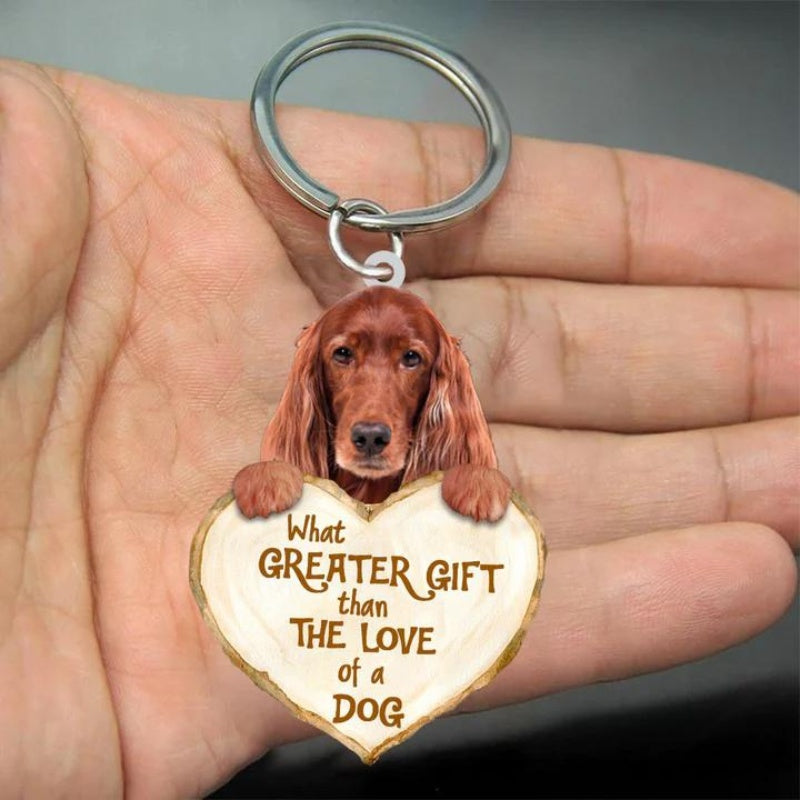 Irish Setter | Great Love