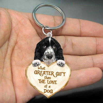 Engelse Springer Spaniel | Great Love