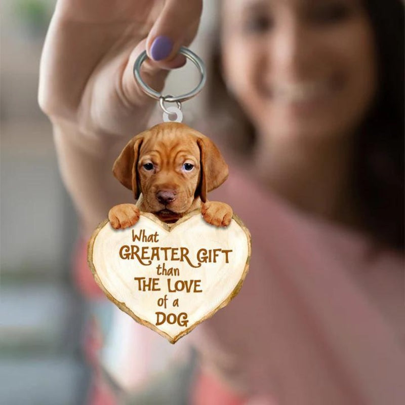 Vizsla | Great Love