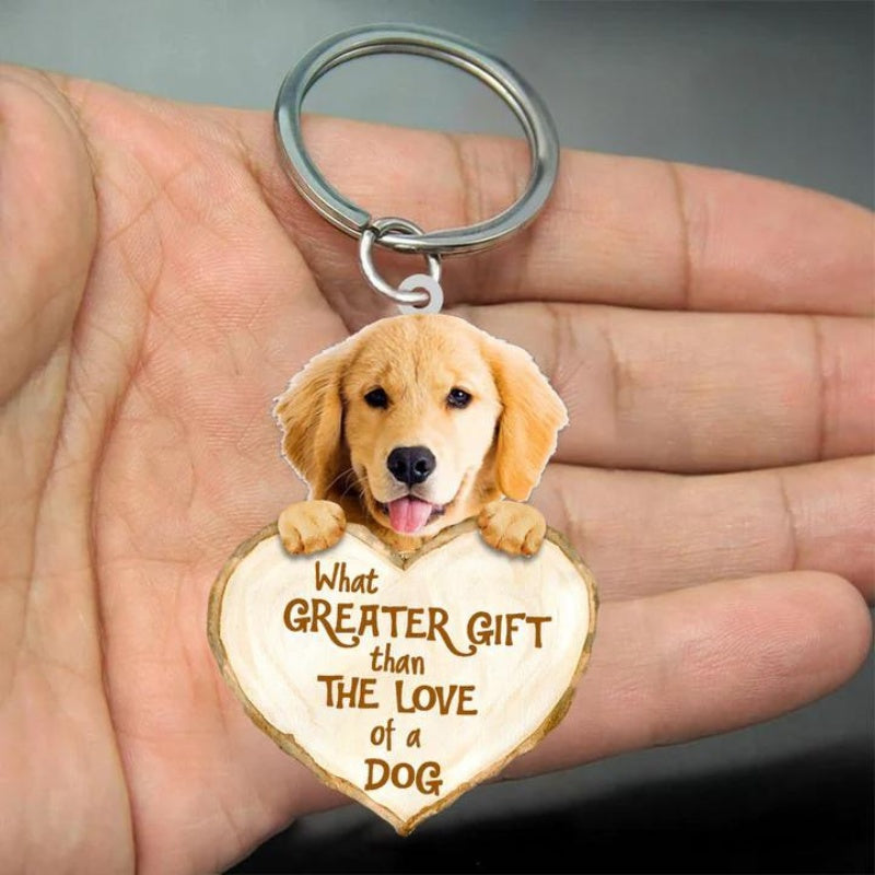 Goude Retriever | Great Love