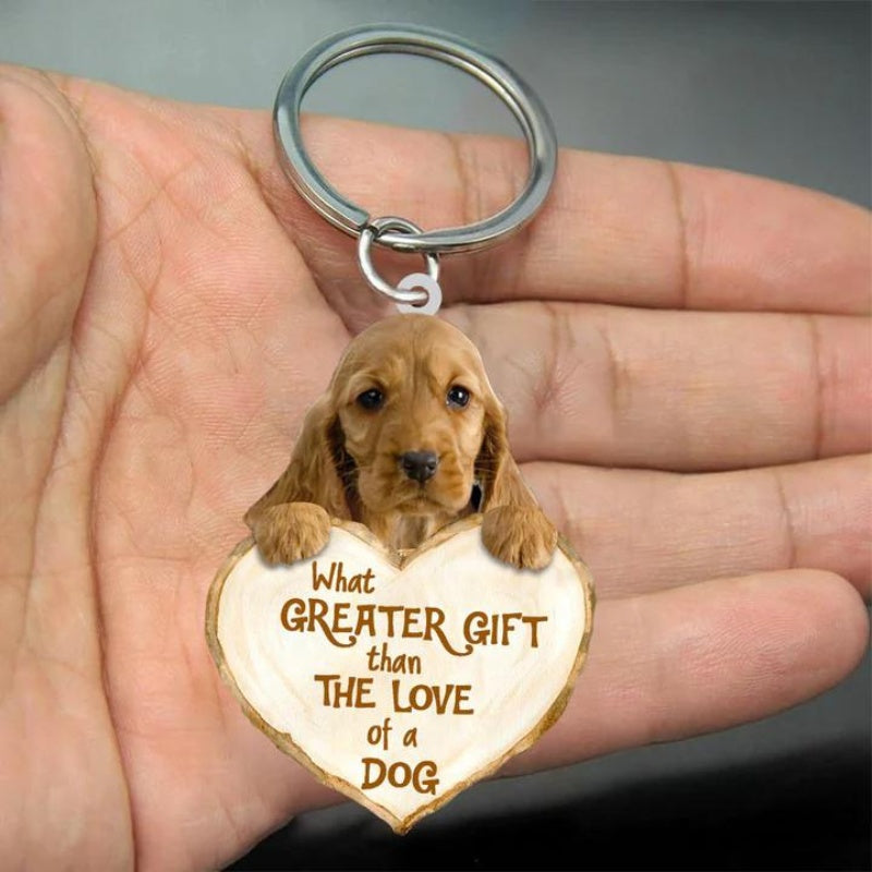 Engelse Cocker Spaniel | Great Love