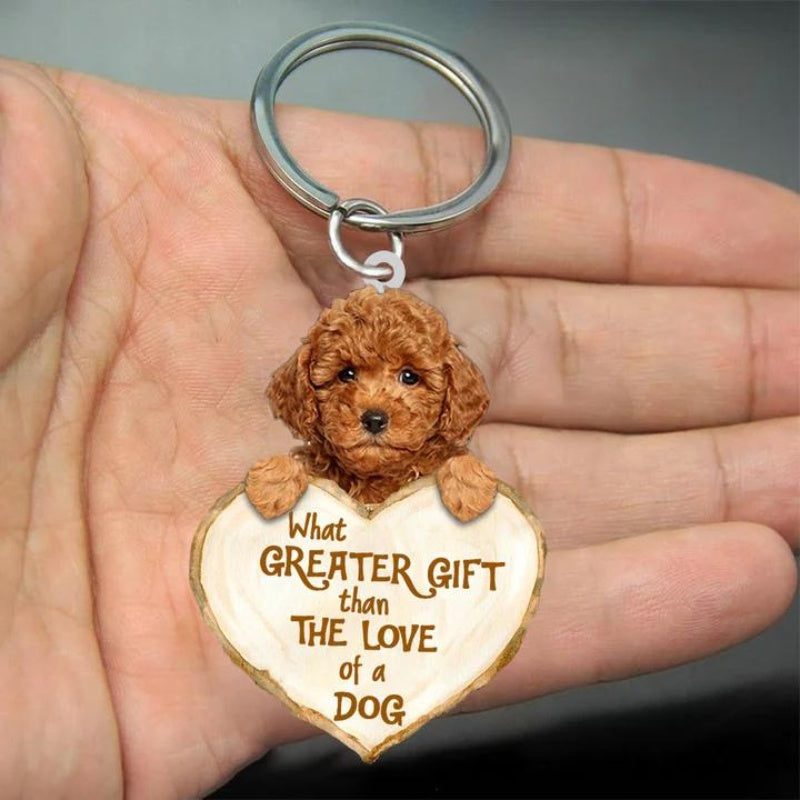 Poodle | Great Love