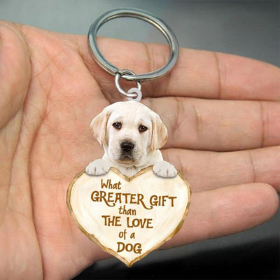 Labrador Retriever | Great Love