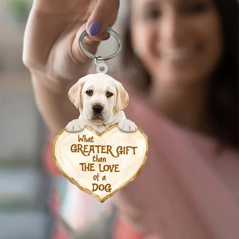 Labrador Retriever | Great Love