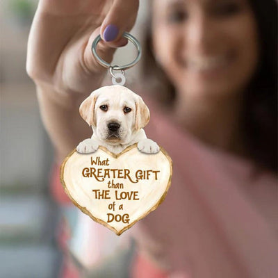 Labrador Retriever | Great Love