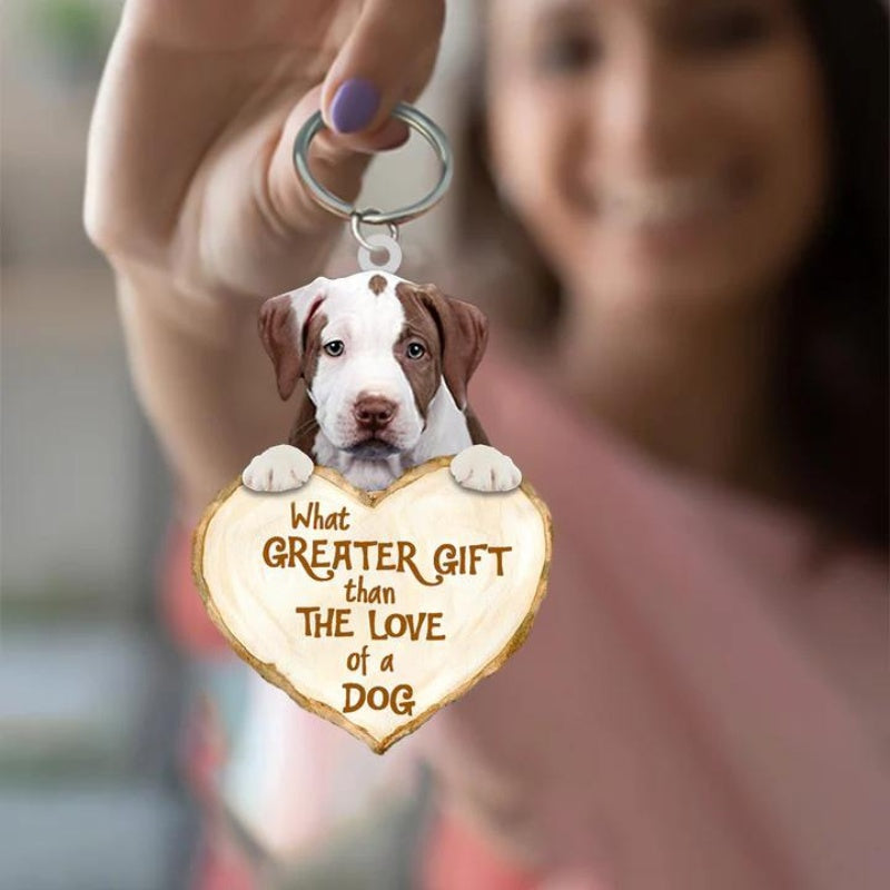 Pit Bull | Great Love