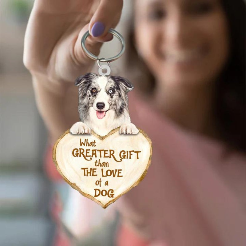 Border Collie | Great Love