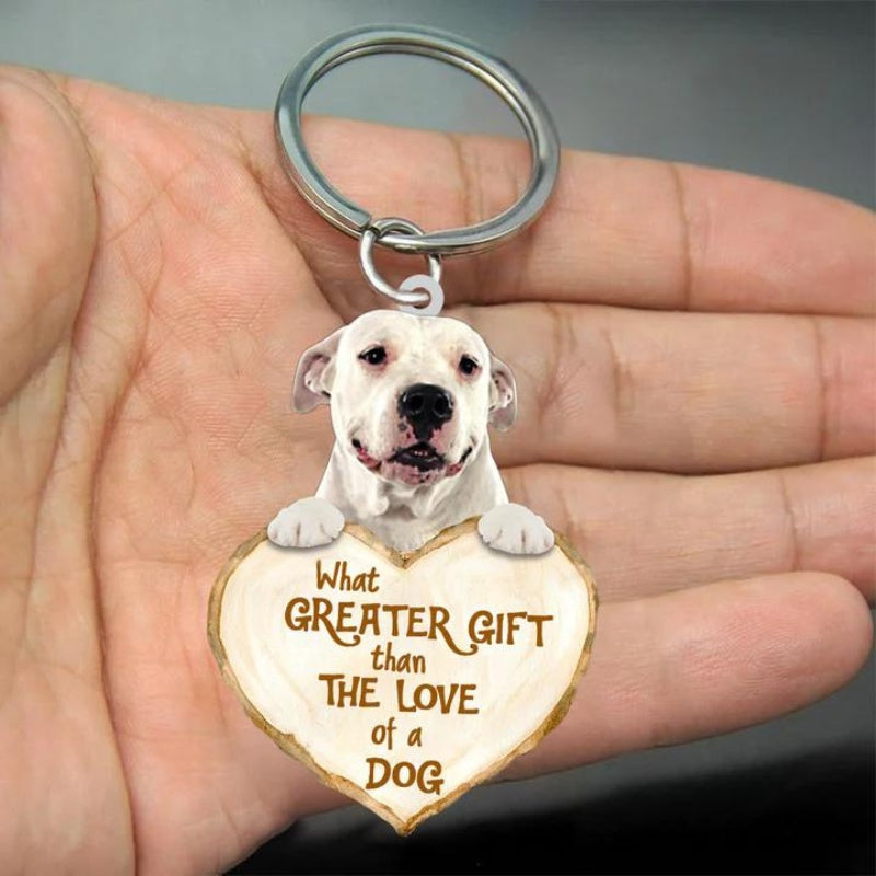 Dogo Argentino Pointer | Great Love