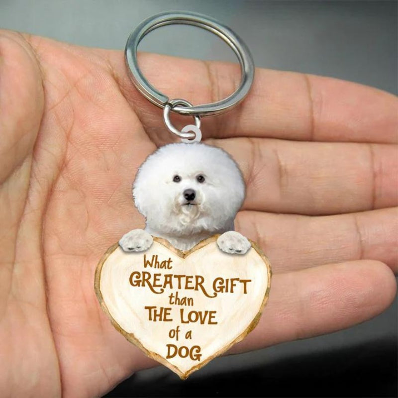 Bichon Frise | Great Love