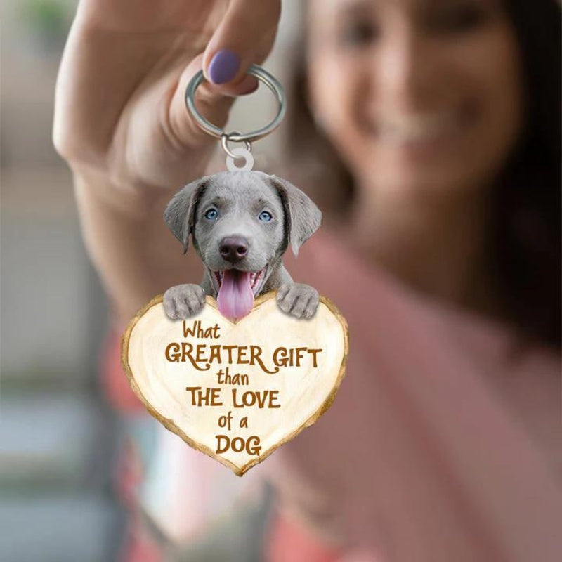 Weimaraner | Great Love