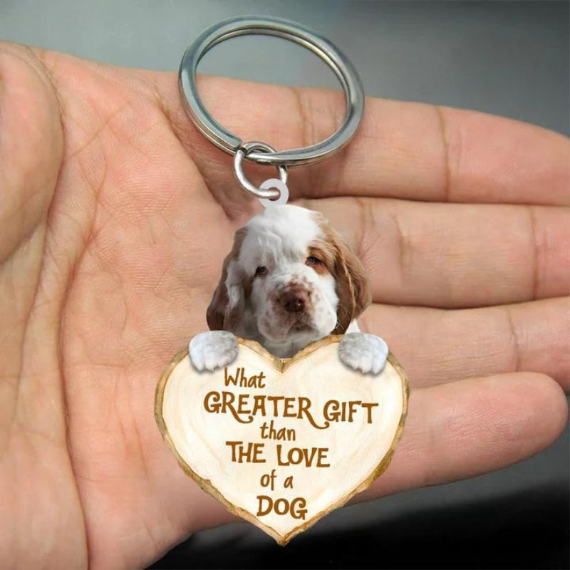 Clumber Spaniel | Great Love