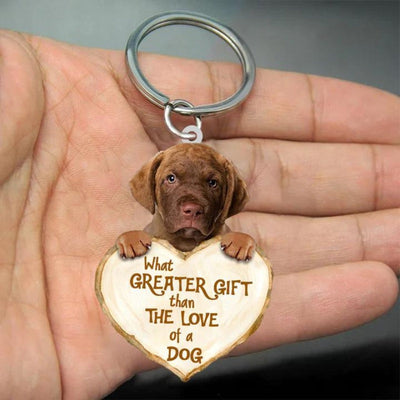 Chesapeake Bay Retriever | Great Love