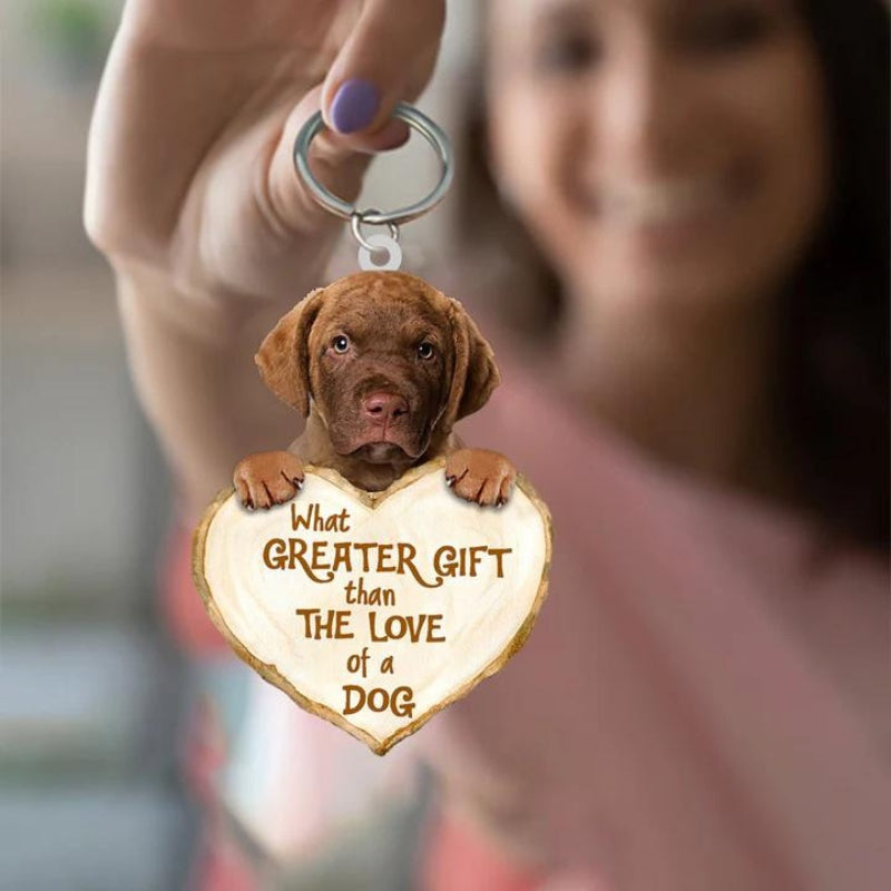 Chesapeake Bay Retriever | Great Love