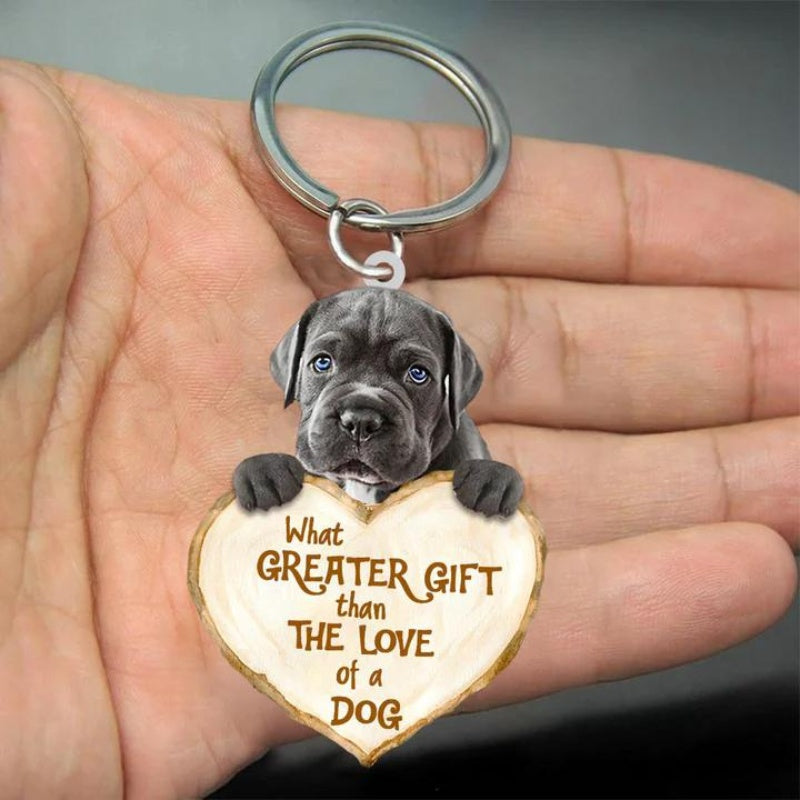 Cane Corso | Great Love