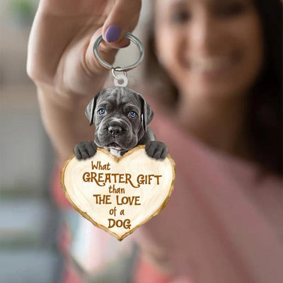 Cane Corso | Great Love