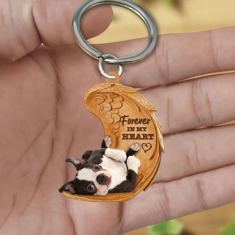 Boston Terrier | Voor Altijd in Mijn Hart