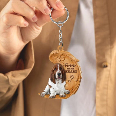 Basset Hound | Voor Altijd in Mijn Hart