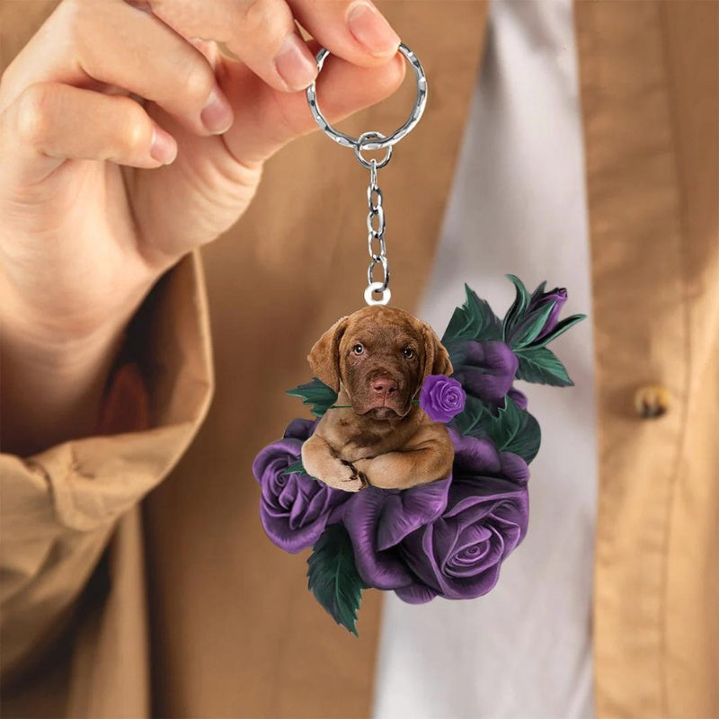 Chesapeake Bay Retriever | My Bestie Hanger