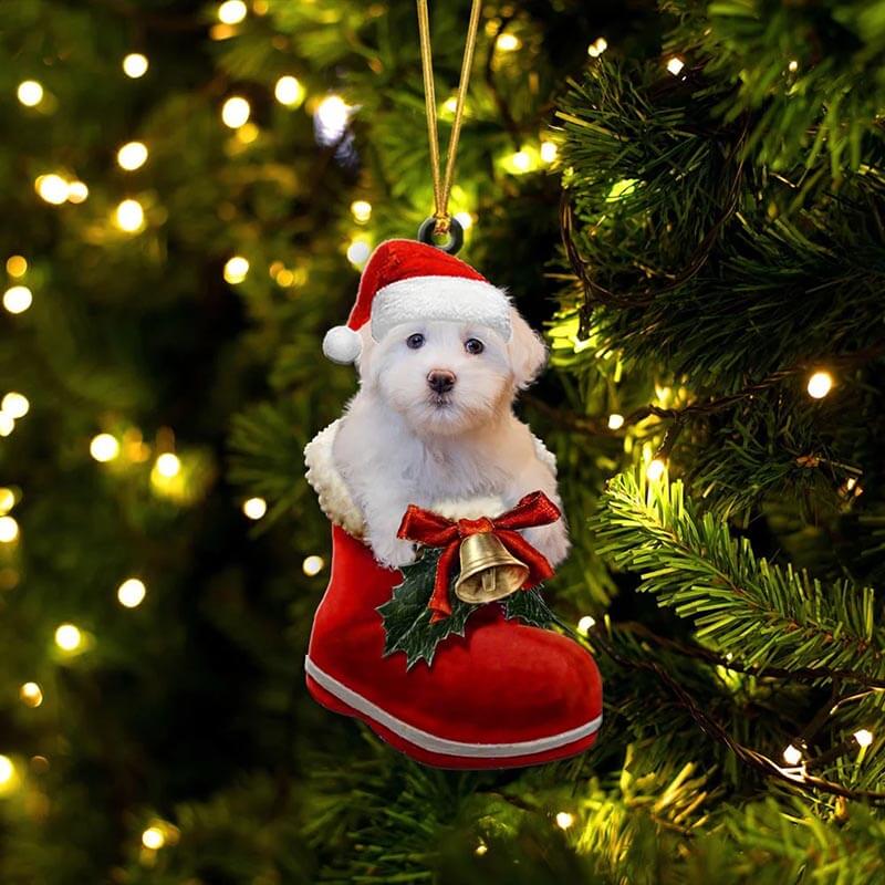 Coton De Tulear in Kerstschoen Ornament