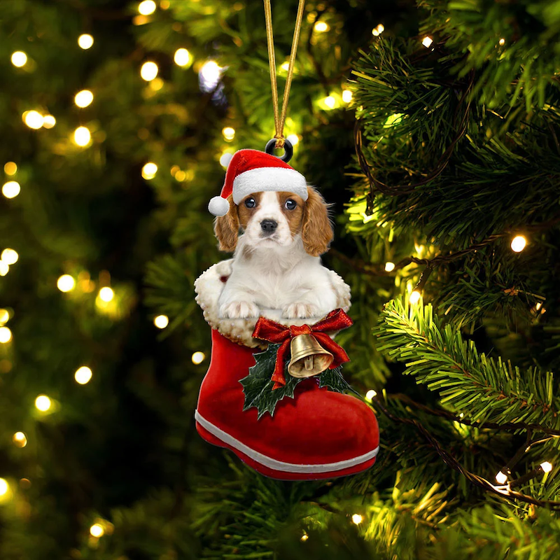 Cavalier King Charles Spaniel in Kerstschoen Ornament